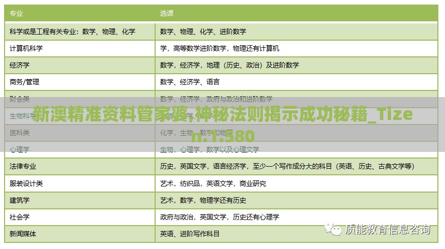 新澳精准资料管家婆,神秘法则揭示成功秘籍_Tizen.1.580