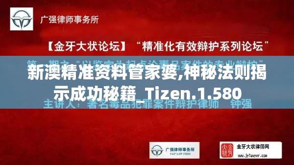 新澳精准资料管家婆,神秘法则揭示成功秘籍_Tizen.1.580