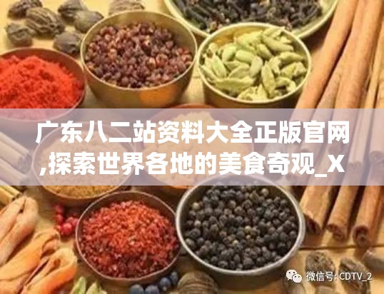 广东八二站资料大全正版官网,探索世界各地的美食奇观_X.5.746