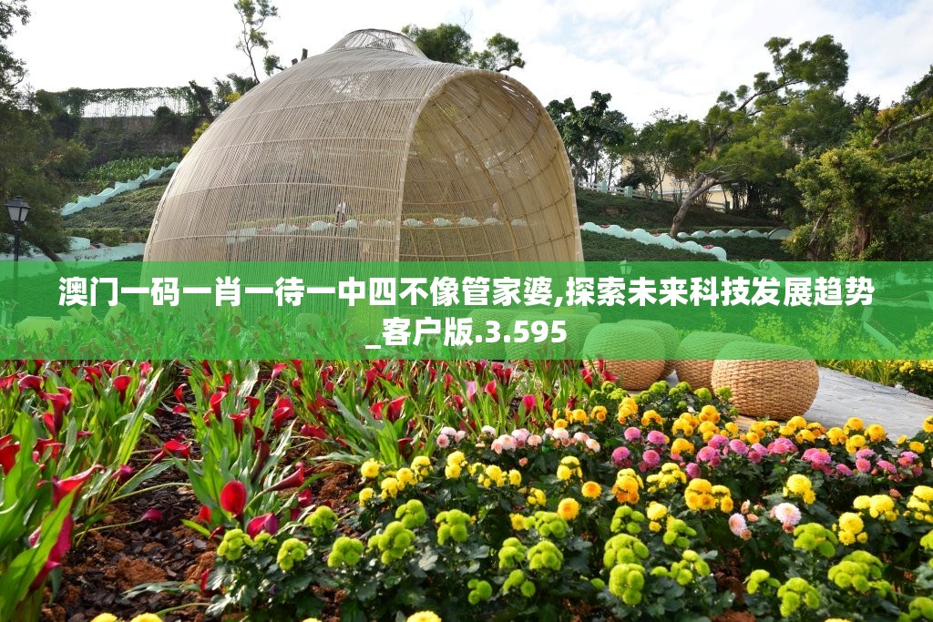 澳门一码一肖一待一中四不像管家婆,探索未来科技发展趋势_客户版.3.595