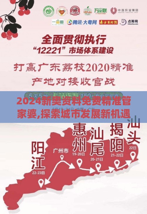 2024新奥资料免费精准管家婆,探索城市发展新机遇_灵敏版.4.441