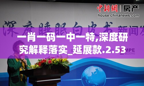 一肖一码一中一特,深度研究解释落实_延展款.2.533