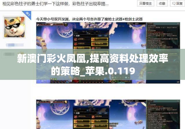 新澳门彩火凤凰,提高资料处理效率的策略_苹果.0.119