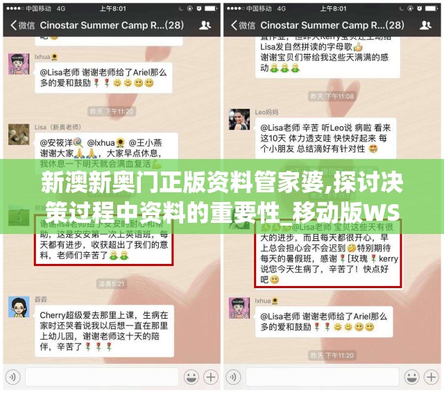 新澳新奥门正版资料管家婆,探讨决策过程中资料的重要性_移动版WSAP.6.361