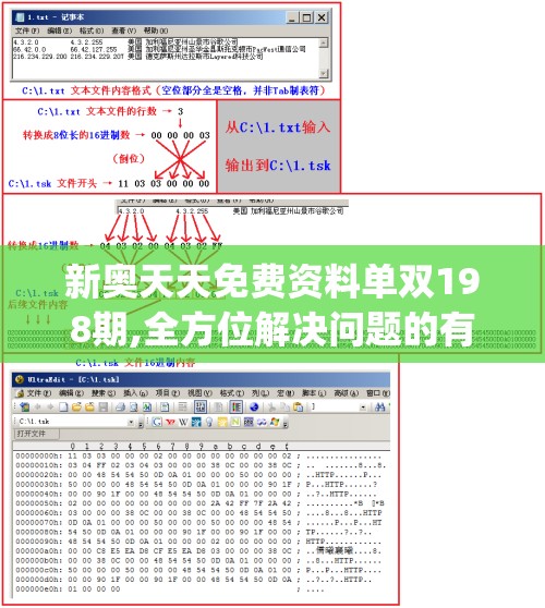 新奥天天免费资料单双198期,全方位解决问题的有效策略_T.8.986
