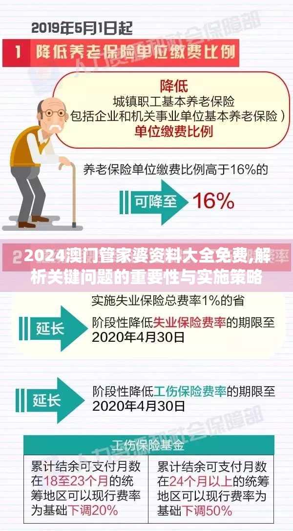 2024澳门管家婆资料大全免费,解析关键问题的重要性与实施策略_豪华制.8.799