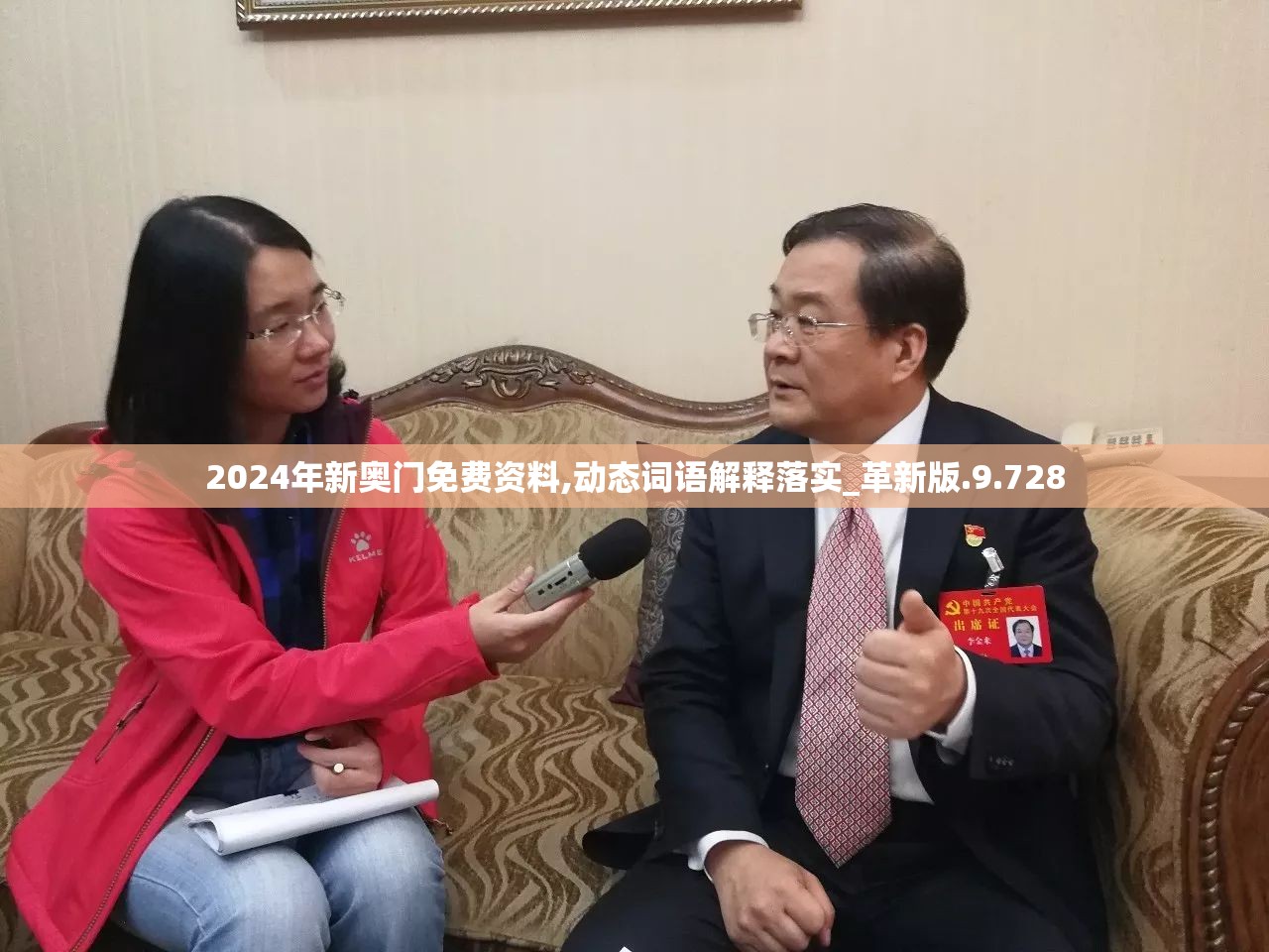2024年新奥门免费资料,动态词语解释落实_革新版.9.728