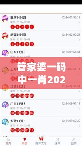 管家婆一码中一肖2024,探索新兴旅游胜地的魅力_游戏版7.992