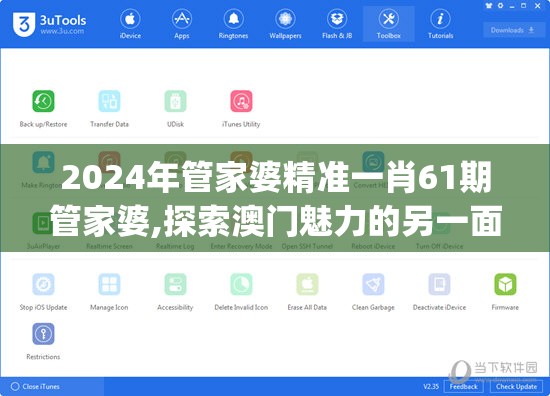 2024年管家婆精准一肖61期管家婆,探索澳门魅力的另一面_对抗型.5.896