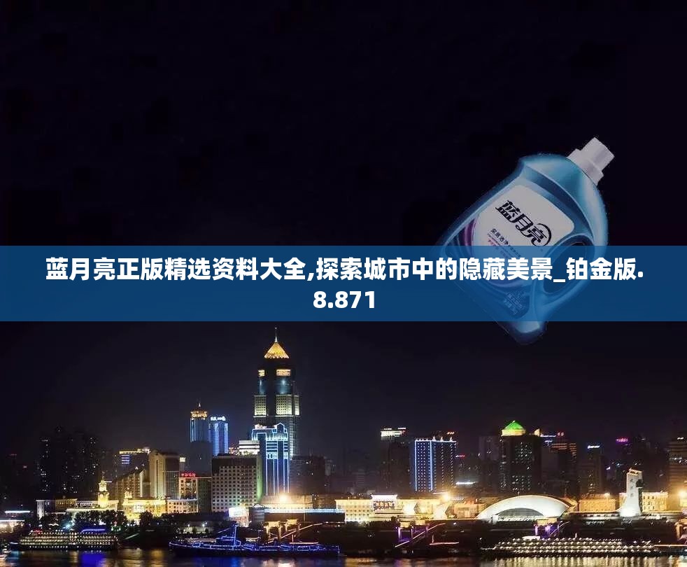 蓝月亮正版精选资料大全,探索城市中的隐藏美景_铂金版.8.871