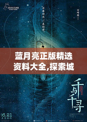 蓝月亮正版精选资料大全,探索城市中的隐藏美景_铂金版.8.871