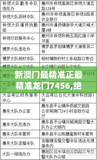 新澳门最精准正最精准龙门7456,绝对经典解释落实_终端款.3.705