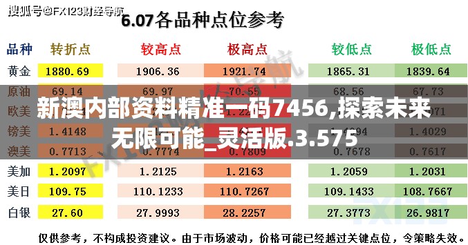 新澳内部资料精准一码7456,探索未来无限可能_灵活版.3.575