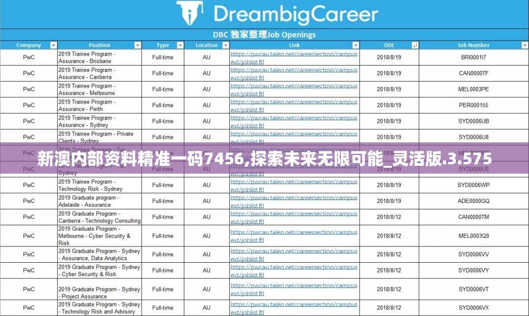 新澳内部资料精准一码7456,探索未来无限可能_灵活版.3.575