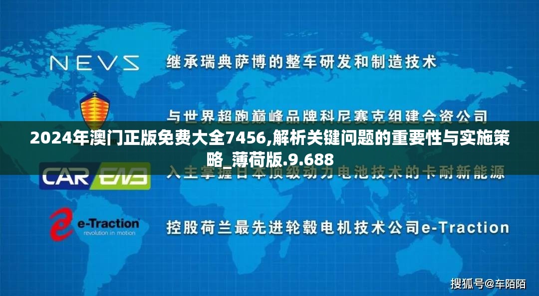 2024年澳门正版免费大全7456,解析关键问题的重要性与实施策略_薄荷版.9.688