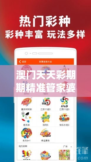 澳门天天彩期期精准管家婆,提高资料处理效率的策略_典范版.3.500
