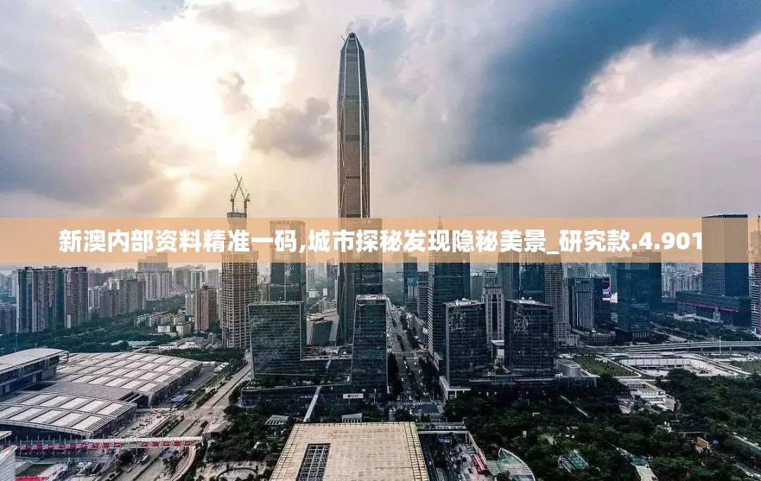 新澳内部资料精准一码,城市探秘发现隐秘美景_研究款.4.901