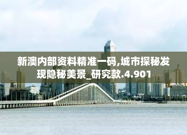 新澳内部资料精准一码,城市探秘发现隐秘美景_研究款.4.901