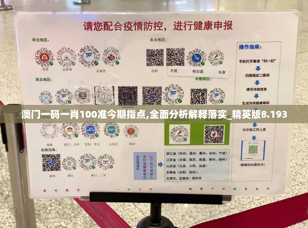 澳门一码一肖100准今期指点,全面分析解释落实_精英版8.193