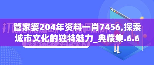 管家婆204年资料一肖7456,探索城市文化的独特魅力_典藏集.6.615