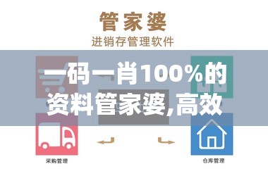 一码一肖100%的资料管家婆,高效解答解释落实_旗舰版SIP.1.159