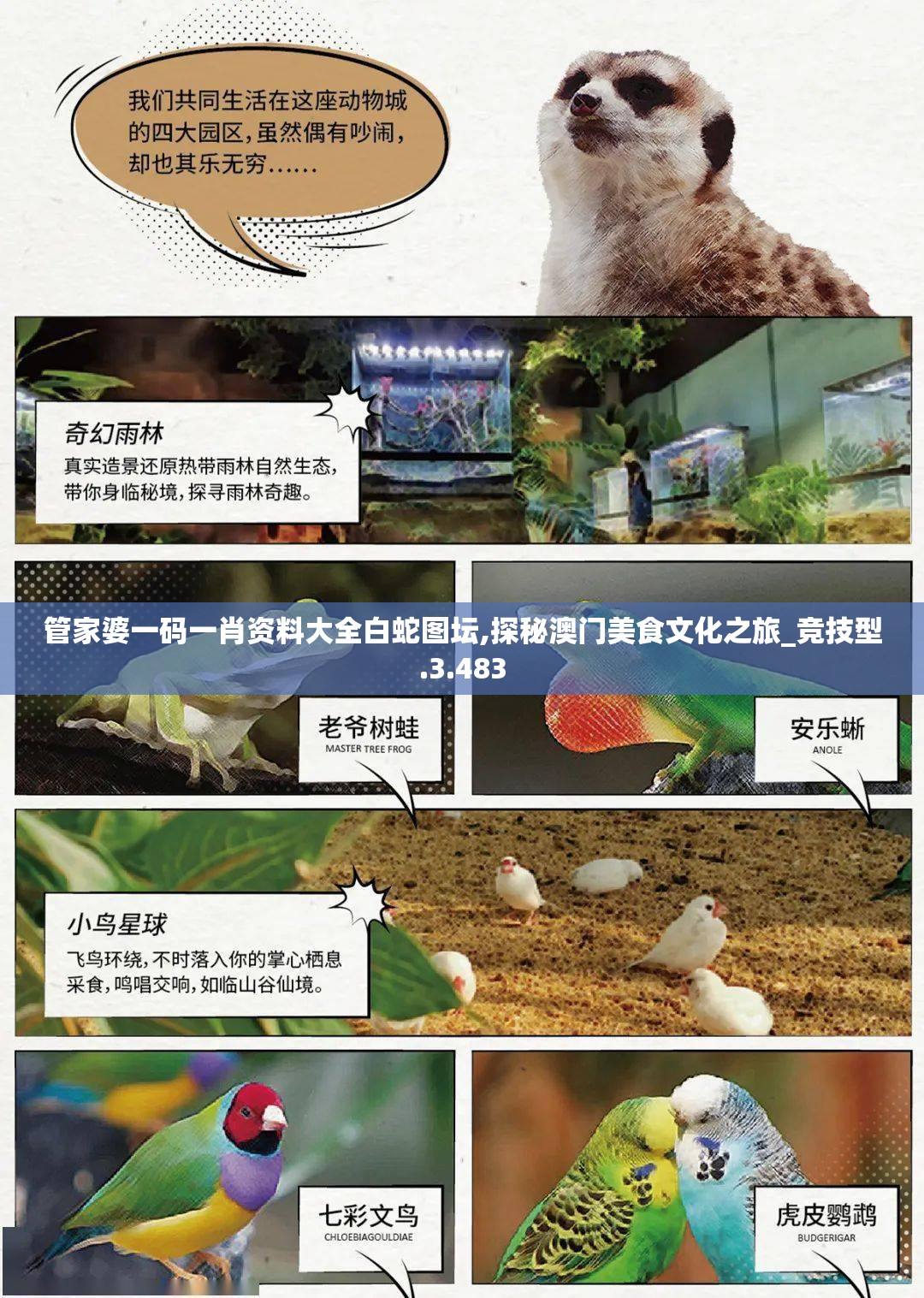 管家婆一码一肖资料大全白蛇图坛,探秘澳门美食文化之旅_竞技型.3.483