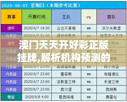 澳门天天开好彩正版挂牌,解析机构预测的实施策略_迅速版.5.232