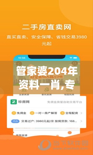 管家婆204年资料一肖,专业解答解释落实_苹果.5.125