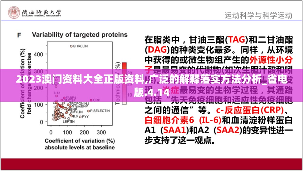 2023澳门资料大全正版资料,广泛的解释落实方法分析_省电版.4.14