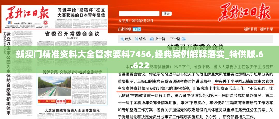 新澳门精准资料大全管家婆料7456,经典案例解释落实_特供版.6.622