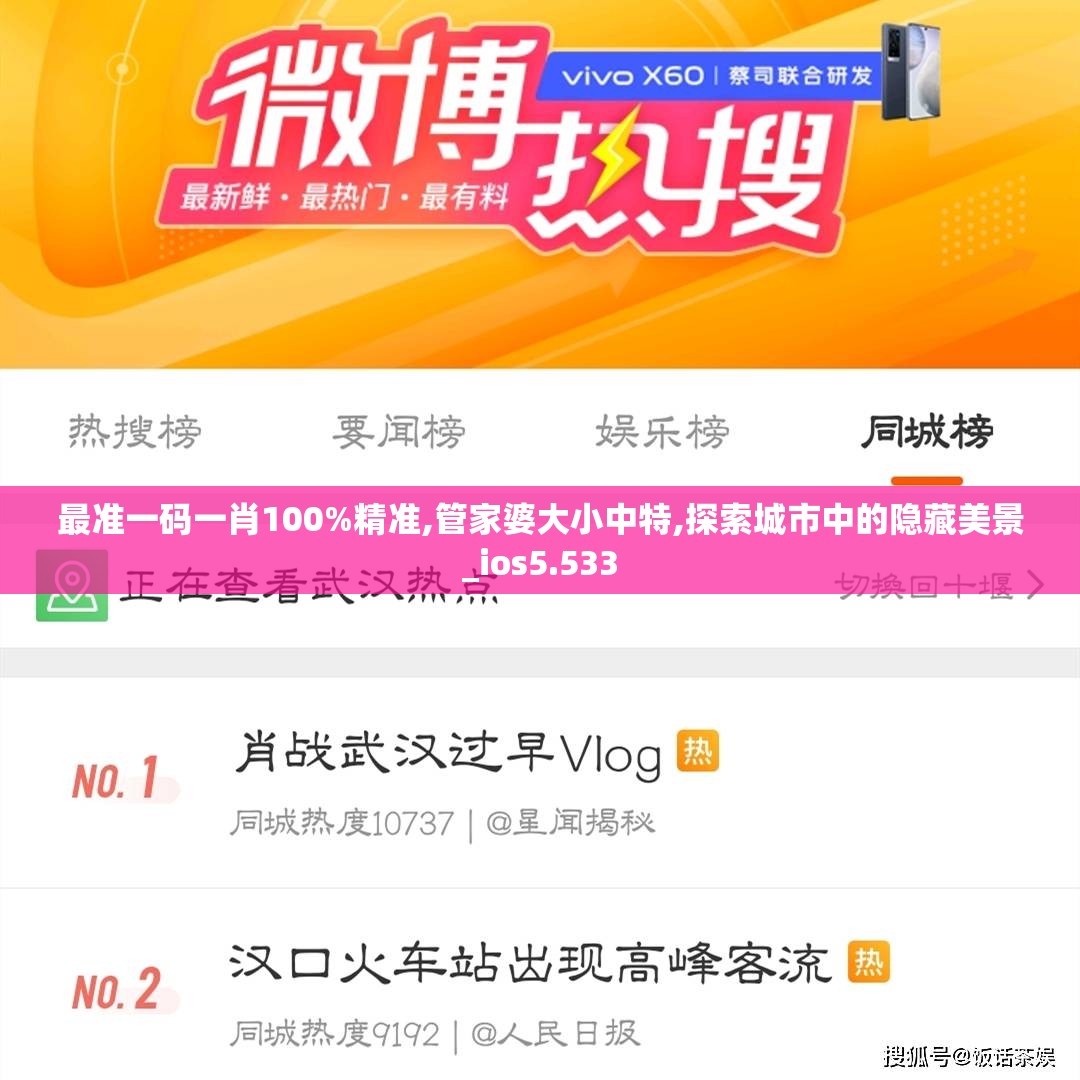 最准一码一肖100%精准,管家婆大小中特,探索城市中的隐藏美景_ios5.533