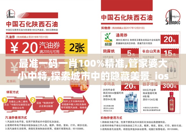 最准一码一肖100%精准,管家婆大小中特,探索城市中的隐藏美景_ios5.533