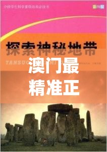 澳门最精准正最精准龙门,探索城市新风尚与秘密角落_完整版.8.743