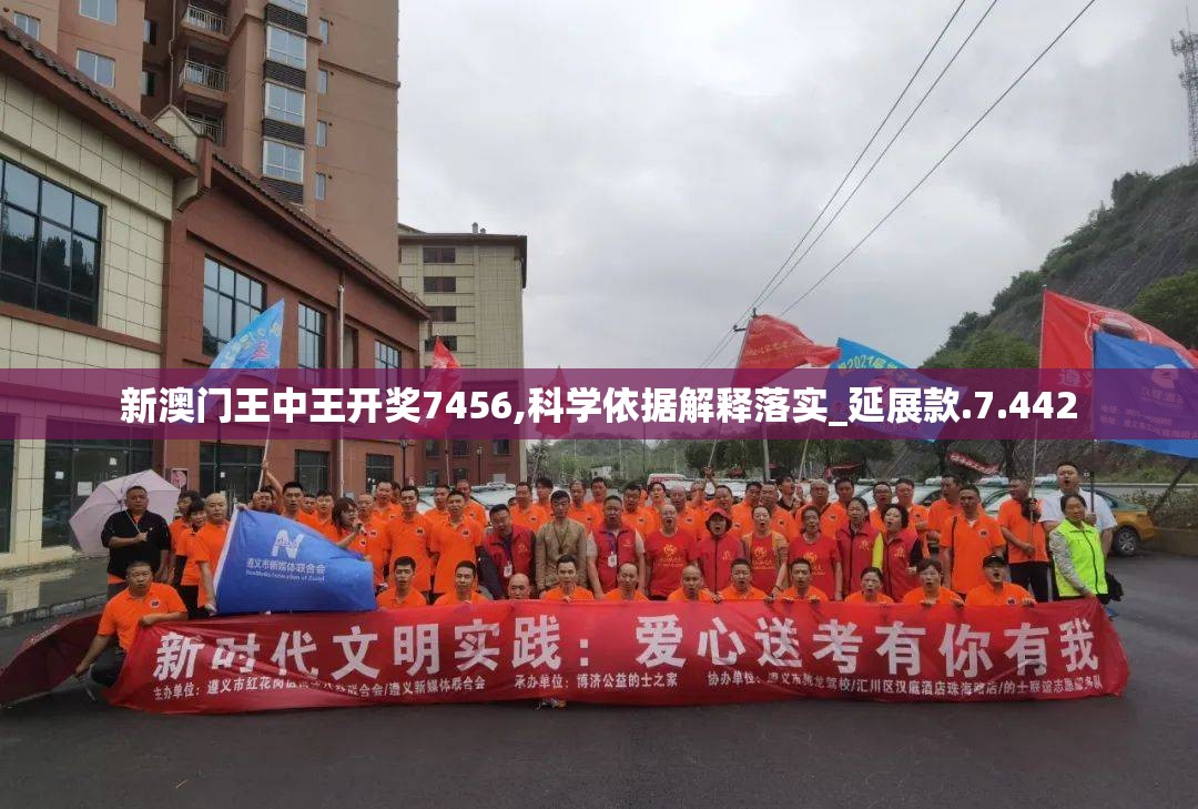 新澳门王中王开奖7456,科学依据解释落实_延展款.7.442