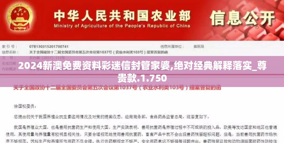 2024新澳免费资料彩迷信封管家婆,绝对经典解释落实_尊贵款.1.750