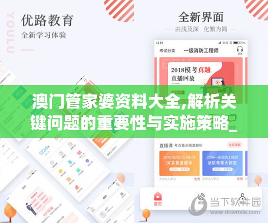 澳门管家婆资料大全,解析关键问题的重要性与实施策略_体育版.1.530