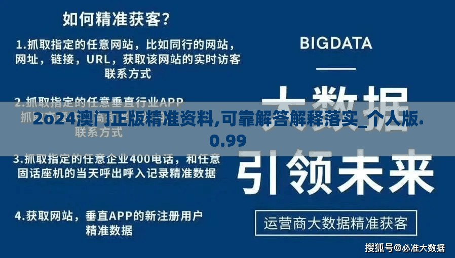 2o24澳门正版精准资料,可靠解答解释落实_个人版.0.99