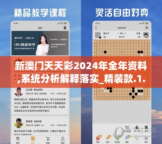 新澳门天天彩2024年全年资料,系统分析解释落实_精装款.1.317