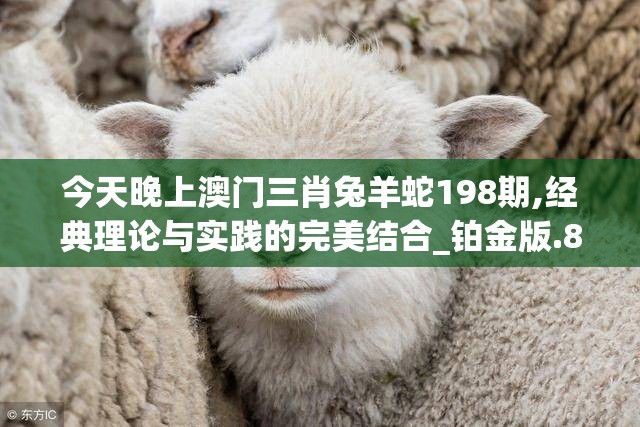 今天晚上澳门三肖兔羊蛇198期,经典理论与实践的完美结合_铂金版.8.871