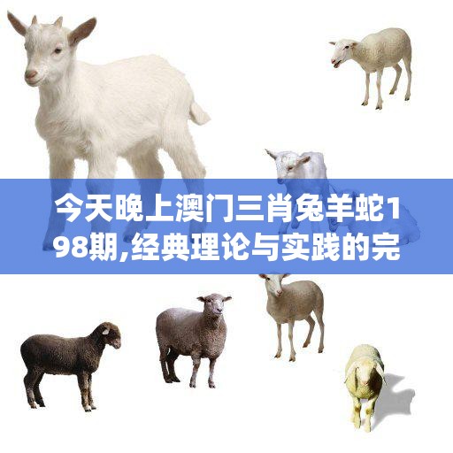 今天晚上澳门三肖兔羊蛇198期,经典理论与实践的完美结合_铂金版.8.871