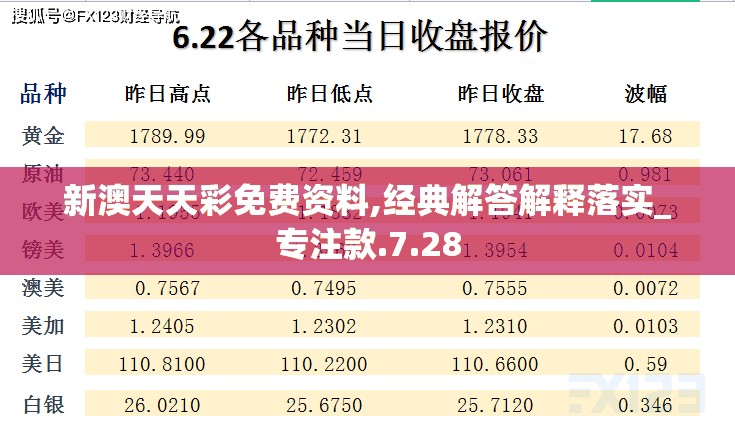 新澳天天彩免费资料,经典解答解释落实_专注款.7.28