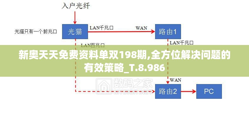 新奥天天免费资料单双198期,全方位解决问题的有效策略_T.8.986
