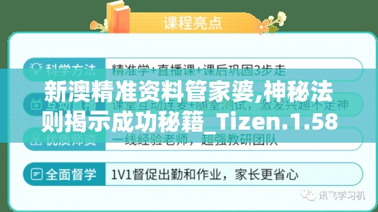 新澳精准资料管家婆,神秘法则揭示成功秘籍_Tizen.1.580