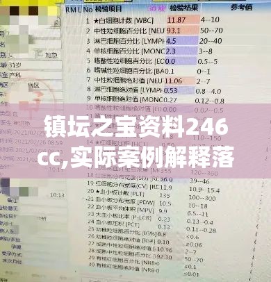 镇坛之宝资料246cc,实际案例解释落实_特性版.1.477
