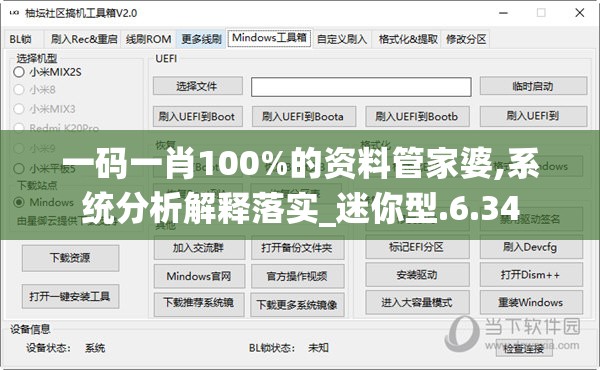 一码一肖100%的资料管家婆,系统分析解释落实_迷你型.6.34