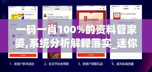 一码一肖100%的资料管家婆,系统分析解释落实_迷你型.6.34