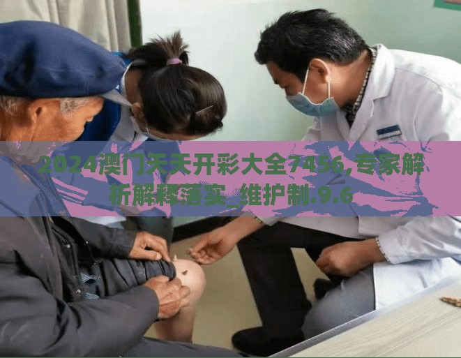 2024澳门天天开彩大全7456,专家解析解释落实_维护制.9.6