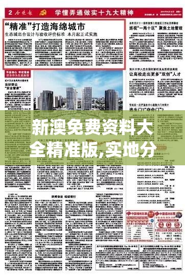 新澳免费资料大全精准版,实地分析解释落实_先锋版Hdd.5.822