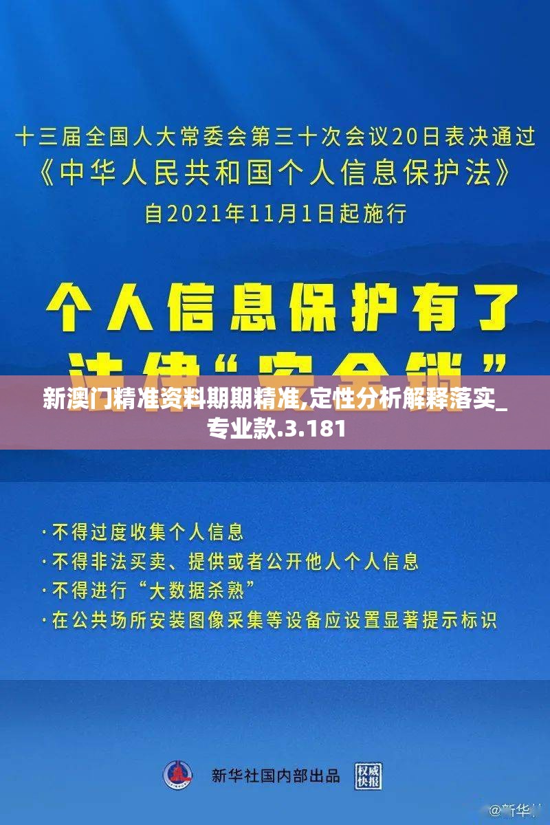 新澳门精准资料期期精准,定性分析解释落实_专业款.3.181