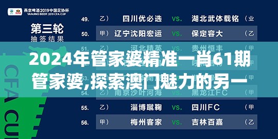 2024年管家婆精准一肖61期管家婆,探索澳门魅力的另一面_对抗型.5.896
